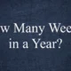 how many weeks in a year