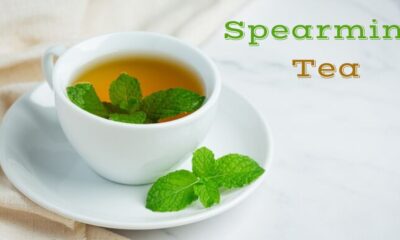 spearmint tea